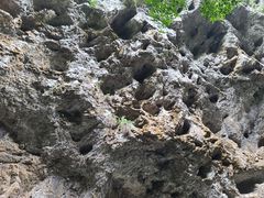-百漈沟生态旅游景区