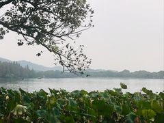 -郭庄茶室