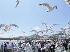 -海驴岛(荣成市)
