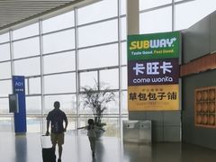-合肥新桥国际机场-航站楼