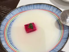 杏仁豆腐-四葉寿司·城市景观(深圳湾1号店)
