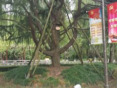 -陈云纪念馆