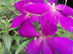 -中国天府农业博览园