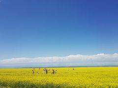 -青海湖国家重点风景名胜区