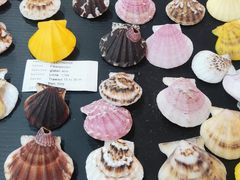 -摩登百货(岗顶店)