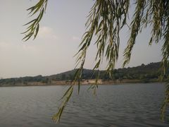 -羊山湖公园