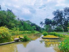 -云溪植物园