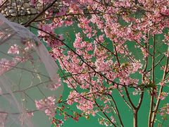 -楠溪江风景名胜区