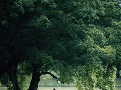-中国科学院华南植物园