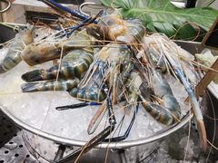 -丽都皇冠假日酒店·Matrix亦餐厅(望京店)