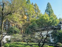 -柳莺湖上·湖景餐厅·江南菜(西湖店)