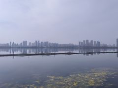 -东湖落雁景区