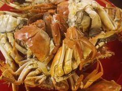 -好伦哥(温都水城店)