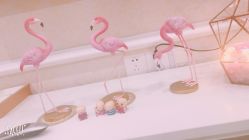 -久美荟·J Baby face