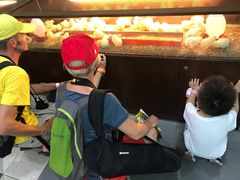 -吉隆坡雀鸟公园