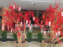 -真爱年华水疗健康运动中心(朱雀大街店)