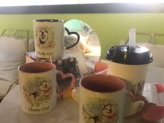 -Husky Go! 哈士奇体验馆·宠物咖啡厅狗咖