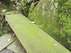 -宁波市保国寺古建筑博物馆