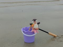 -北海金海湾红树林生态旅游区