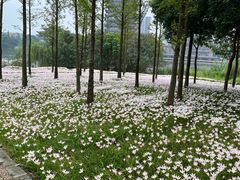 -眉山湿地公园(东坡区)