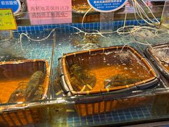 -即墨老公社·海肠捞饭大王(古城店)