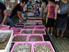 -南沙十九涌渔人码头-南门