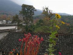 -塔川景区