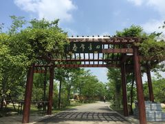 -鹅湖玫瑰文化园