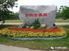 -御林古桑园