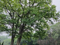 -元大都城垣遗址公园