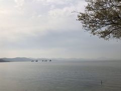 -上海市保健医疗中心(华东疗养院)