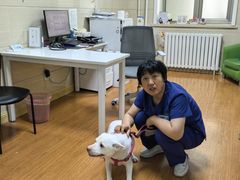 -北京观赏动物医院·24小时大型综合·猫专科·异宠专科