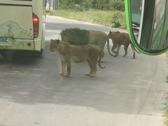 -西安秦岭野生动物园
