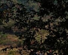 -青龙山国家森林公园