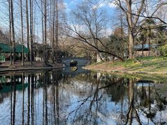 -上海共青森林公园