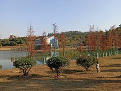 -东莞植物园