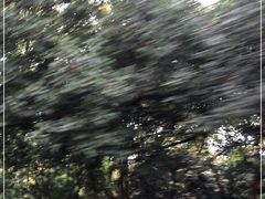 -南京东郊国宾馆