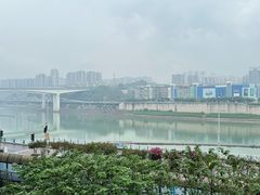 -李子坝梁山鸡(李子坝大鸡哥店)