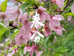 -广东温泉宾馆