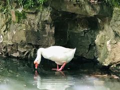 -兰亭风景区