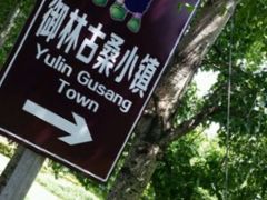 -御林古桑园