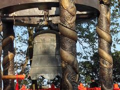 -野蔓果·山野菜(西湖景区·龙井茶田店)