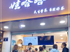 门面-娃哈哈·奶茶(武林店)
