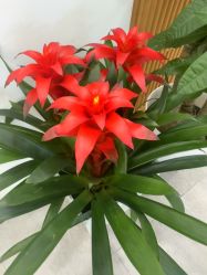 -和颜一美轻医美连锁