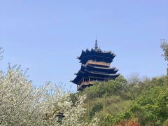 -杭州半山国家森林公园