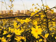 -西安汉城湖景区