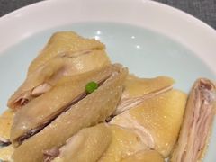 -新吉士·上海菜(浦东LCM置汇旭辉店)