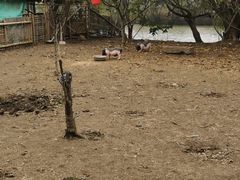 -长兴太湖图影湿地文化园
