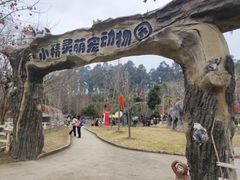 -都江堰玫瑰花溪谷