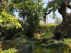 -Chom Cafe and Restaurant